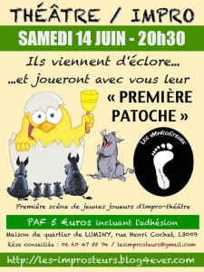 2014-06-improsteurs-patoche-img