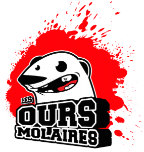 Les Ours Molaires